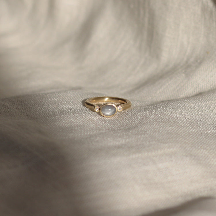 House Martin Ring