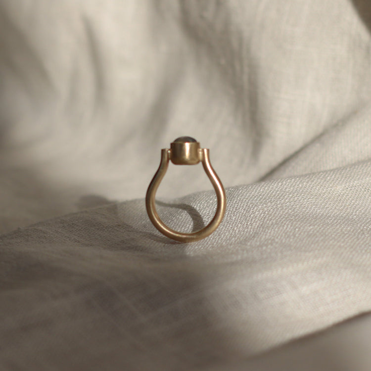 House Martin Ring