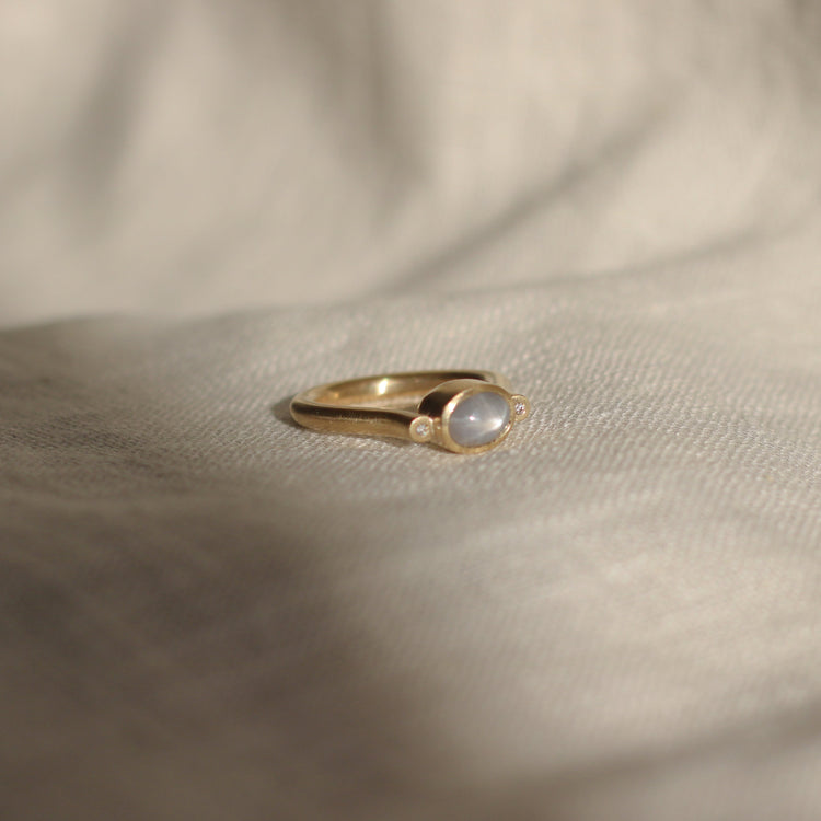 House Martin Ring