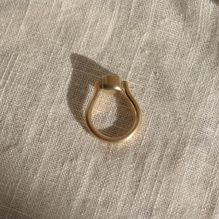 House Martin Ring