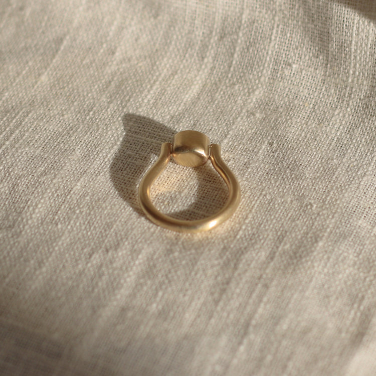 House Martin Ring