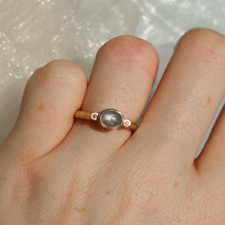 House Martin Ring